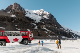 1-Day Columbia Icefield Adventure Tour