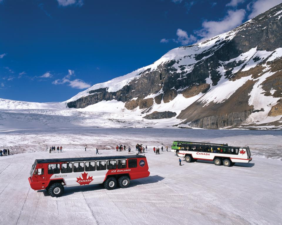 1-Day Columbia Icefield Adventure Tour