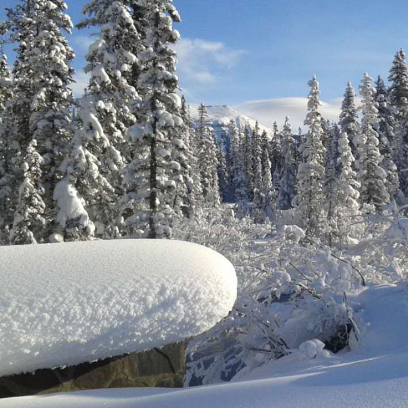 1-Day Snow Activity/Hot Springs Winter Fun